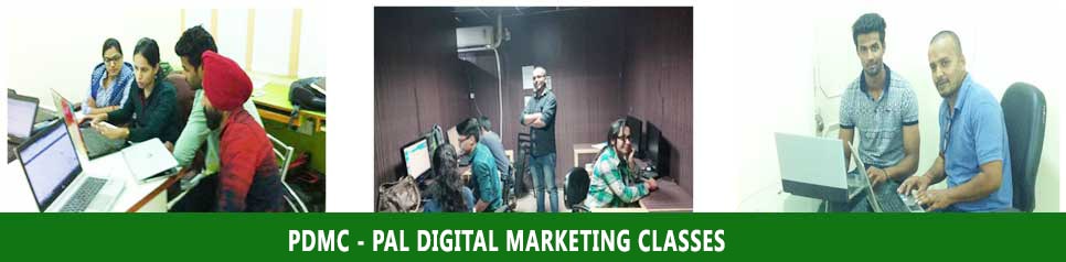 online digital marketing training institutes in India