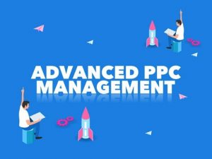 Advanced PPC Management Training in Chandigarh
