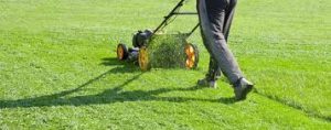 Digital Marketing for Lawn Care Business2022