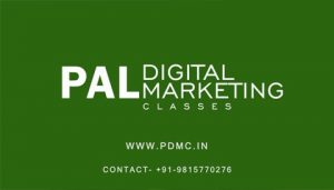 Digital Marketing Course Institute in Chandigarh